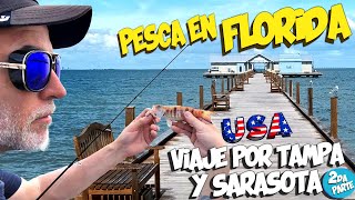 ▶️Pesca en Florida EEUU Tampa Sarasota 2da parte Muelle Anna Maria City Pier [upl. by Gnav]