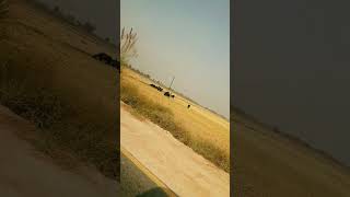 Itran di sheeshi punjabiculture plz subscribe [upl. by Yesak457]