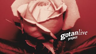 Gotan Project Live Full Album [upl. by Ilac999]