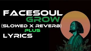 Facesoul  Grow Slowed x Reverb amp Lyrics  Reverb Temple Version [upl. by Waugh]