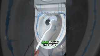 STOP Using the Wrong Toilet Brush for Your Bathroom [upl. by Anaiq]