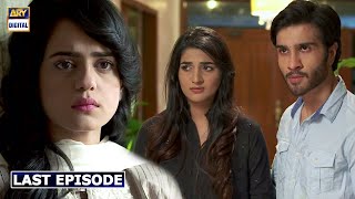 Tumse Mil Kay Last Episode 23 ᴴᴰ  Feroze Khan  Rabab Hashim  ARY Digital Drama [upl. by Amand]