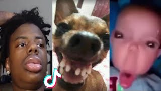 THE FUNNIEST TIK TOK MEMES Of August 2023  Try Not To LAUGH 😂  15 [upl. by Uzia887]