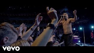 Iggy Pop  Gardenia Live At The Royal Albert Hall [upl. by Nnoved]