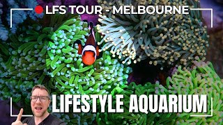 LFS Tour  Lifestyle Aquariums Melbourne [upl. by Wilbur]