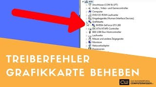 Treiberpanne bei Grafikkarte beheben  TUTORIAL [upl. by Kelcy120]