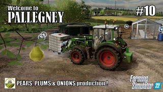 PEARS PLUMS amp ONIONS production Orchards amp Greenhouses  10 PALLEGNEY  FS22  PlayStation 5 [upl. by Schuh417]