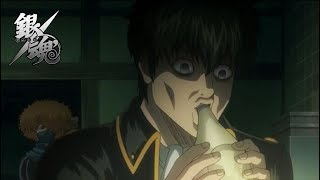 Hijikata funny moments  Gintama quot銀魂quot [upl. by Yarazed]