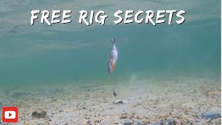 quotUnlocking the Secrets of Free Rig Bass Fishing Dive into the Depths with Underwater Footagequot [upl. by Bradstreet]