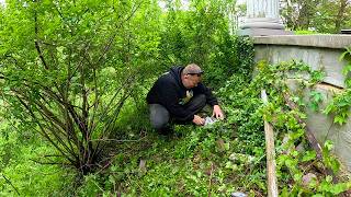 FOUND HUMAN REMAINS BURIED in this Elderly Ladies Overgrown Yard [upl. by Bebe]