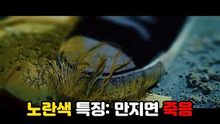 색깔을 무기로 사용하는 괴물들에게 멸망한 세상 단편영화 [upl. by Paul]