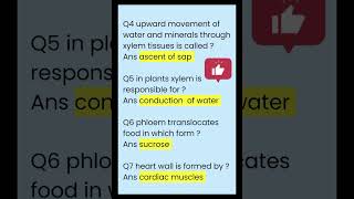 class 10 science chapter 3 life processes  transportation important MCQ [upl. by Melton]