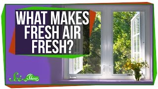 What Makes Fresh Air Fresh [upl. by Xela350]