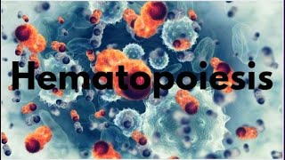 Overview of Hematopoesis  The Formation of Blood Cells [upl. by Ramhaj]