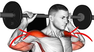 The Best Shoulder Exercise BARBELL ONLY [upl. by Ramma330]