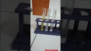 Action of salivary amylase on starch  Pravin Sirs Biology [upl. by Sonahpets]