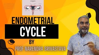 Endometrial cycle Anatomy and Hormonal Regulation  Female Reproductive Cycle [upl. by Yenial398]