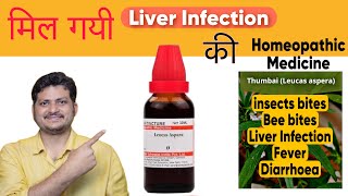 Leucas Aspara  Homeopathic Medicine For Liver Infection  How to Use  Symptoms [upl. by Brenton]