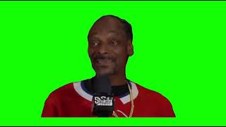 Abracadabra Snoop DO double G 😂 green screen memes youtube funny [upl. by Adiahs4]