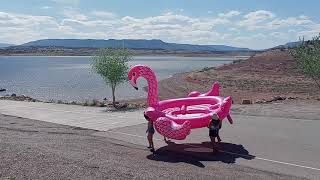 Pink Flamingo at Abiquiu Lake 2021  Violet amp friends [upl. by Einned]