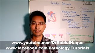 Infective Endocarditis Part 1 HD [upl. by Akihsar]