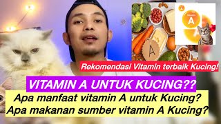 VITAMIN UNTUK KUCING  apa manfaat Vitamin A untuk Kucing dan apa sumber vitamin A untuk kucing [upl. by Balthazar]