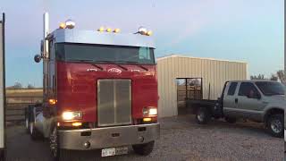 1982 PETERBILT 362 For Sale [upl. by Hervey]