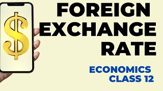 Class 12Foreign Exchange rateClass 1 [upl. by Nerval]