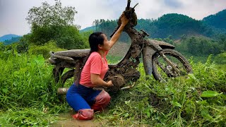 The girl revived the rusted motorbike she picked up from the swamp  girl mechanic car [upl. by Jeanie]