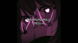 kanimalare mulle speed up malayalam songs speed up malayalamnightcore malayalam [upl. by Nottirb]