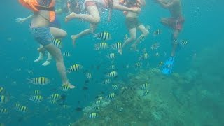 Lusong Gunboat Wreckage Snorkelling  Coron Palawan [upl. by Ennovahs323]