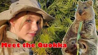 Quokka The Happiest Cutest Animal On Earth  The fun way to learn about the Quokka [upl. by Loferski]