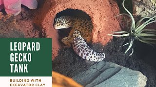 Leopard Gecko Tank with Excavator Clay [upl. by Yespmed385]