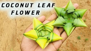 How to make a coconut leaf palm flower Like star lec vetv yassuo tfblade ll stylish [upl. by Xeno262]