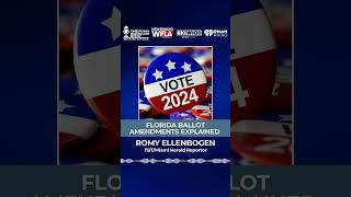 Florida Ballot Amendments Explained election2024 election [upl. by Genny]