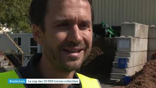 Le compost en ville pour traiter les déchets alimentaires [upl. by Llemaj265]