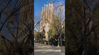 Obra de Gaudí la majestuosa Sagrada Familia shorts gaudi architecture europe [upl. by Arabel]