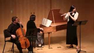 Laurel Maurer Telemann Sonata in F minor for Flute and Harpsichord [upl. by Jone114]