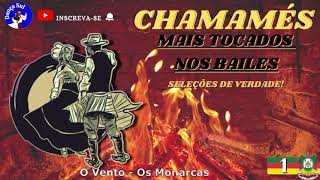 MELHORES SELEÇÔES DAS MÚSICAS GAUCHESCAS 🚨 RITMO CHAMAMÉ 🚨 [upl. by Ansela]