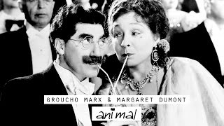 Animal Groucho Marx amp Margaret Dumont [upl. by Aimik441]