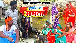 बकरिया ला ममता  New Comedy  Bakriya La Mamta comedy बिनेशर चाचा बकरी के सोच म UdaydoctorBodhgaya [upl. by Aicnarf]