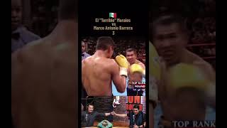 Marco Antonio Barrera Vs Erik el terrible morales [upl. by Meeks]