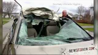 Woman hits moose drives to work with no memory of it [upl. by Ericksen93]