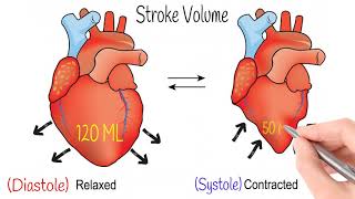 Cardiac Output amp Blood Pressure Hemodynamics Part 2 [upl. by Gabi]