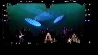 Oingo Boingo  Grey Matter  Universal Amphitheatre 19930116 [upl. by Gnep]