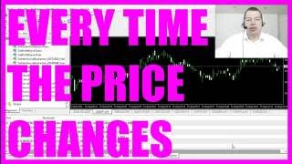 MQL4 Tutorial Basics OnTick or every time the price changes [upl. by Ayk]