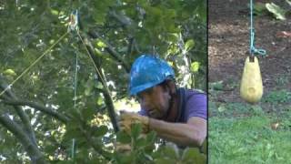 Rencontre nationale darboriculture Strasbourg 2010 [upl. by Aneerahs237]