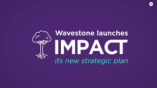 Impact Wavestone 20212025 strategic plan [upl. by Fredi982]