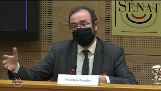 Fabrice Lenglart justifie lAAH dans le Revenu Universel dActivité [upl. by Annayr]