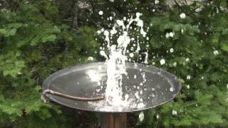 Automatic Birdbath [upl. by Nitsyrc]